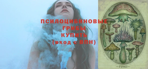 бошки Абинск