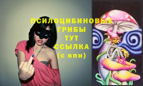 бошки Абинск