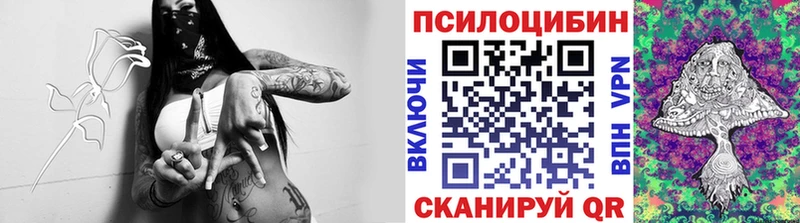 Галлюциногенные грибы GOLDEN TEACHER  Мосальск 