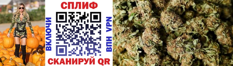 купить наркоту  Мосальск  Канабис VHQ 